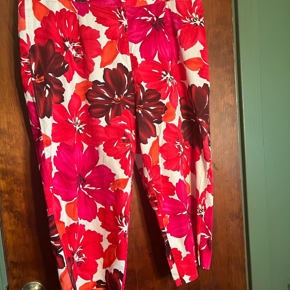 Avenue Red & Pink Floral Stretch Capris